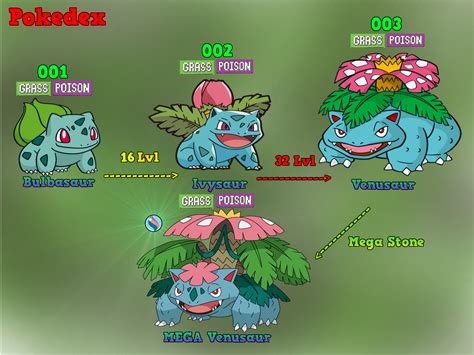 what level does bulbasaur evolve|bulbasaur level 5 stats.